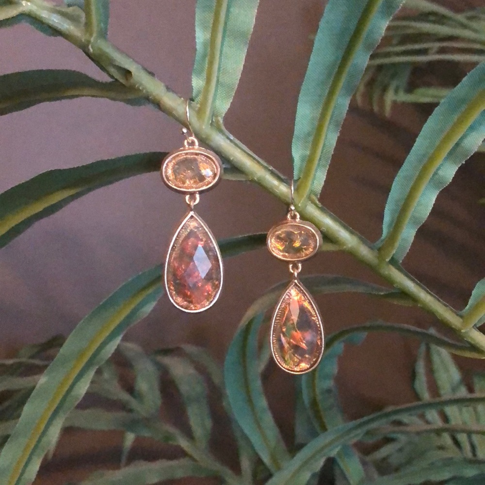 Multicolor Drop Earrings